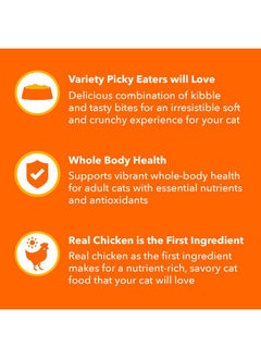 Iams Iams Healthy Enjoyment Dry Cat Food Chicken & Salmon Recipe, 3 lb. Bag  - Image 3