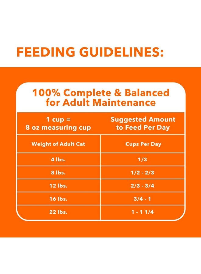 Iams Healthy Enjoyment Dry Cat Food Chicken & Salmon Recipe, 3 lb. Bag - Image 5