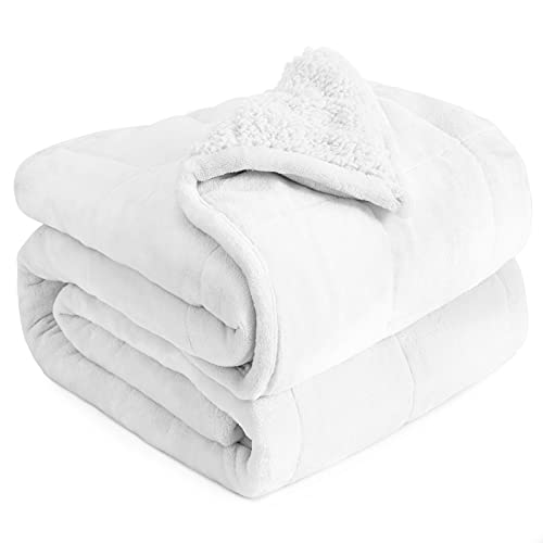 Cottonblue Weighted Blanket 20lbs, Flannel Cozy Plush Blankets, Fuzzy Flannel Bedding Blanket Throw for Twin Full Bed, Minky Soft Blanket for Sofa Bed 60 x 80 inches, White - Image 1