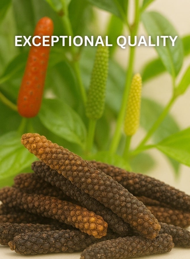 زهر توابل فلفل طويل كاملة | توابل كاملة عالية الجودة للحديقة المنزلية، الزراعة، والحصاد | بذور مُصنفة، عالية الجودة، نقية ١٠٠٪ - Image 2