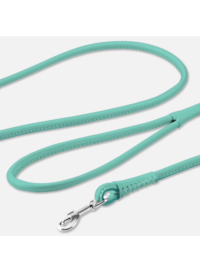 CollarDirect Rolled Leather Dog Leash 6ft, Soft Training Leather Dog Leash for Puppy and Grown Dog Small Medium Large Black Blue Red Orange Green Pink White (Mint Green, Size XL 6ft) - Image 2