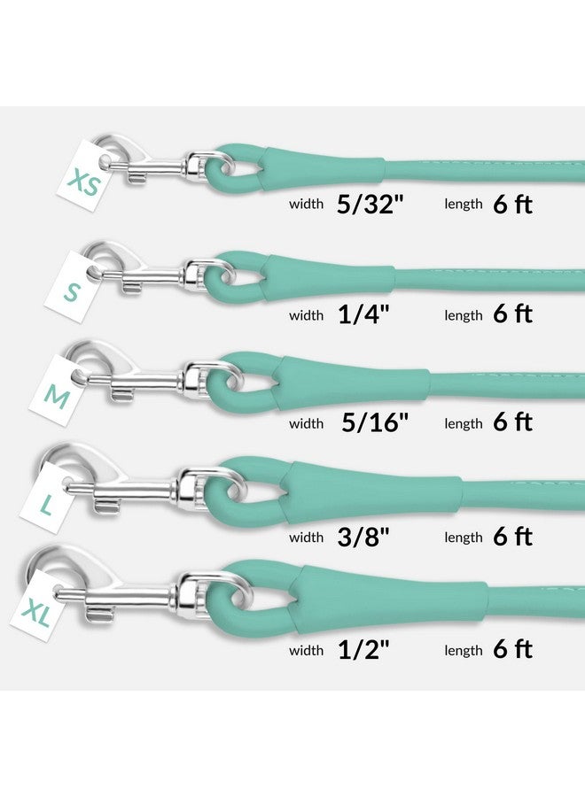 CollarDirect Rolled Leather Dog Leash 6ft, Soft Training Leather Dog Leash for Puppy and Grown Dog Small Medium Large Black Blue Red Orange Green Pink White (Mint Green, Size XL 6ft) - Image 3