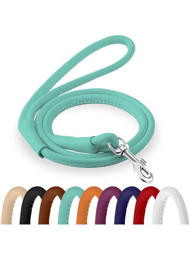 CollarDirect Rolled Leather Dog Leash 6ft, Soft Training Leather Dog Leash for Puppy and Grown Dog Small Medium Large Black Blue Red Orange Green Pink White (Mint Green, Size XL 6ft) - Image 1