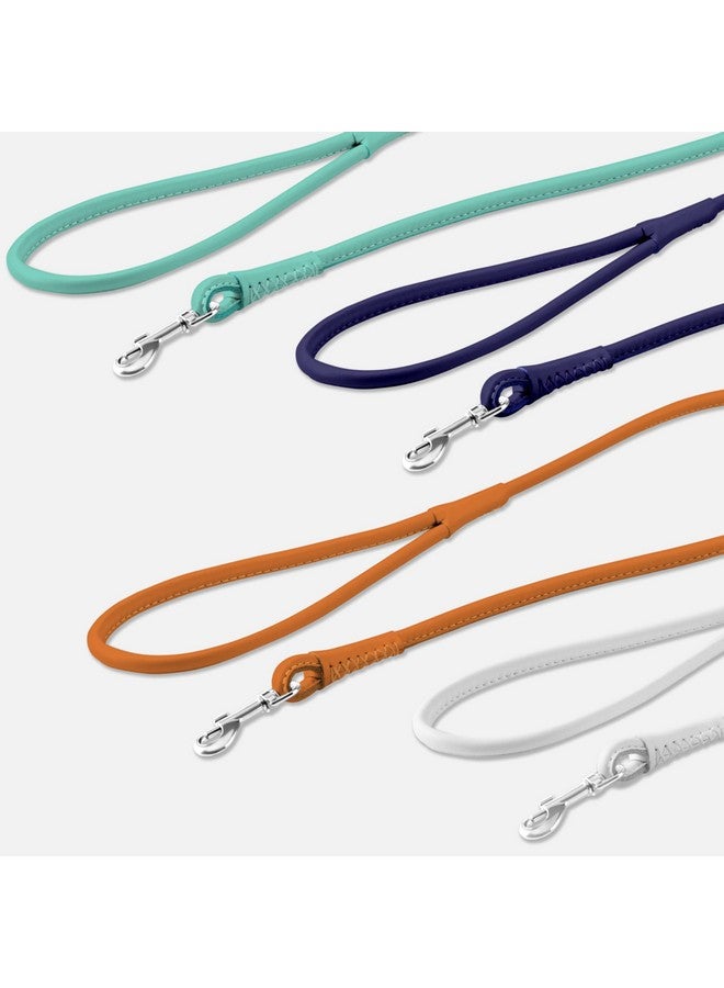 CollarDirect Rolled Leather Dog Leash 6ft, Soft Training Leather Dog Leash for Puppy and Grown Dog Small Medium Large Black Blue Red Orange Green Pink White (Mint Green, Size XL 6ft) - Image 5