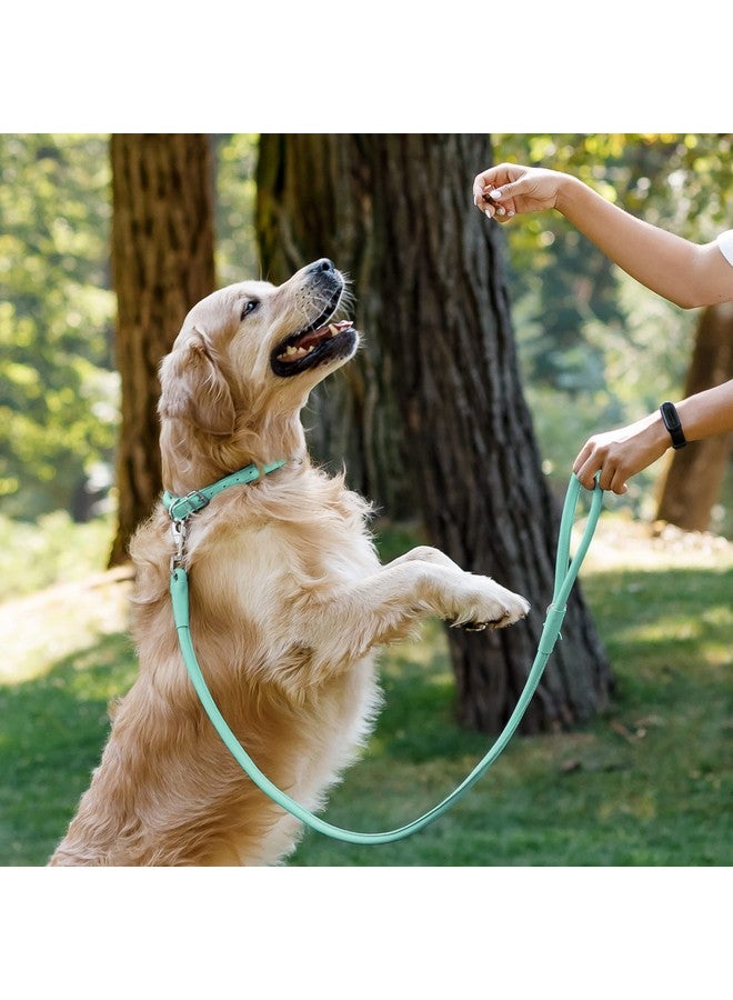 CollarDirect Rolled Leather Dog Leash 6ft, Soft Training Leather Dog Leash for Puppy and Grown Dog Small Medium Large Black Blue Red Orange Green Pink White (Mint Green, Size XL 6ft) - Image 4