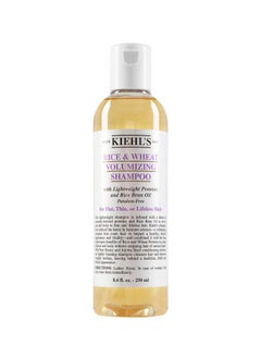 Quality Hair Care Product By Kiehl'S Rice & Wheat Volumizing Shampoo (For Flat Thin Or Lifeless Hair) 250Ml/8.4Oz