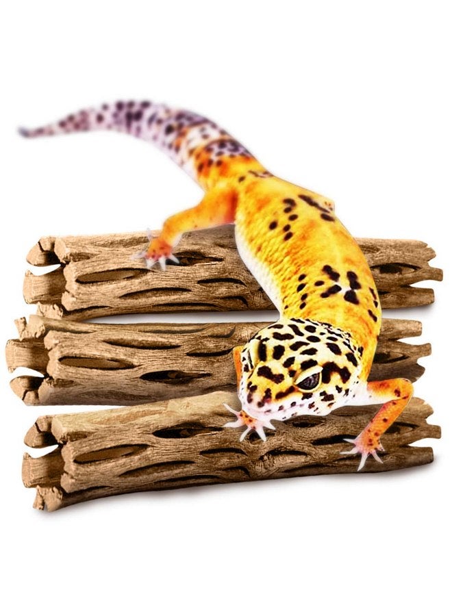 SunGrow Leopard Gecko Cholla Wood, 5 Inches Long, Create Basking Spot, Artistic Home-Decor, Lizards and Bearded Dragons, 3-Pack - Image 2