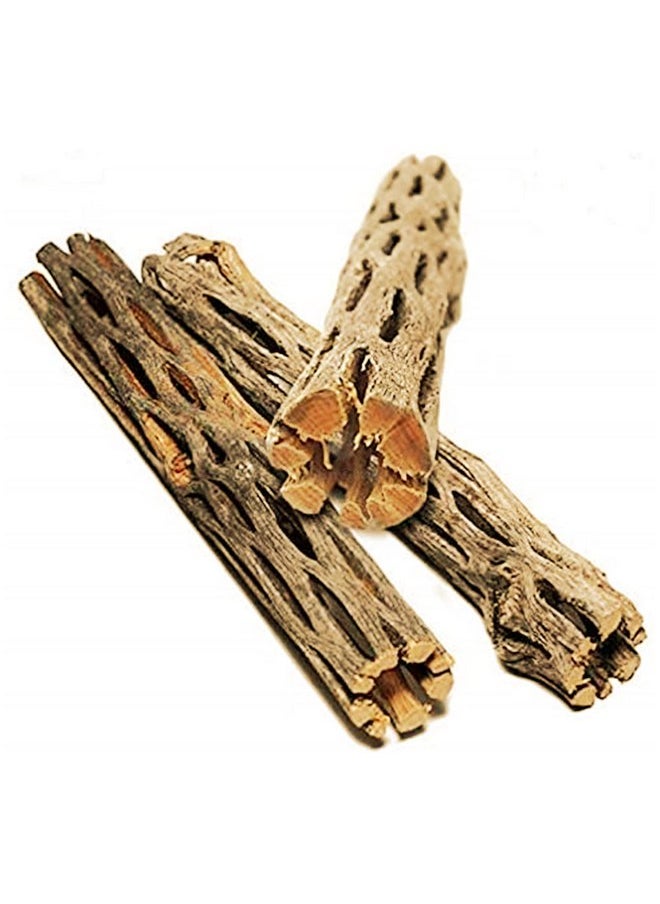 SunGrow Leopard Gecko Cholla Wood, 5 Inches Long, Create Basking Spot, Artistic Home-Decor, Lizards and Bearded Dragons, 3-Pack - pzsku/Z634B82628C75A2C5DF66Z/45/_/1737031363/379cf4ed-e2fb-4206-b940-c23c7fe66cf0