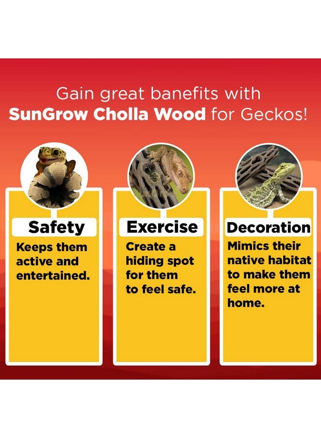 SunGrow Leopard Gecko Cholla Wood, 5 Inches Long, Create Basking Spot, Artistic Home-Decor, Lizards and Bearded Dragons, 3-Pack - Image 3
