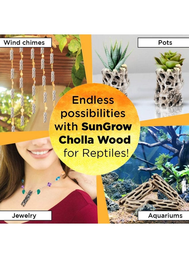 SunGrow Leopard Gecko Cholla Wood, 5 Inches Long, Create Basking Spot, Artistic Home-Decor, Lizards and Bearded Dragons, 3-Pack - Image 5