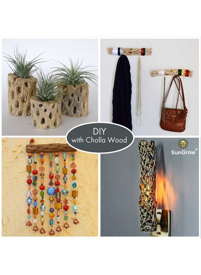 SunGrow Leopard Gecko Cholla Wood, 5 Inches Long, Create Basking Spot, Artistic Home-Decor, Lizards and Bearded Dragons, 3-Pack - Image 4