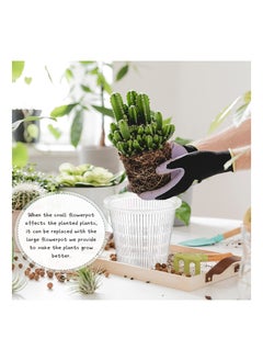 KASTWAVE 1 Pieces Clear Orchid Pot with Holes Set Orchid Breathable Slotted Clear Plastic Plant Pot Outdoor and Indoor Use (White,5.5 Inches)  - Image 5