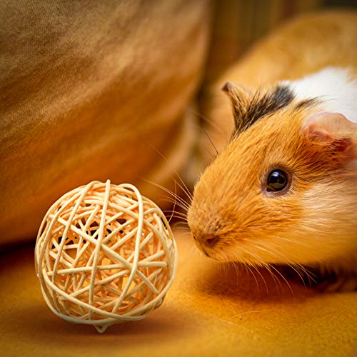 Bac-kitchen 8 Pcs Small Animals Play Balls Rolling Activity Chew Toys Gnawing Treats for Rabbits Guinea Pigs Chinchilla Bunny Natural Balls, Pet Cage Entertainment Accessories (8 Pcs+ Pine Cone) - Image 5