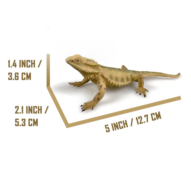 NAKIMO Bearded Dragon Animal Figurine Lizard Toy Realistic Reptile Figures for Decoration, Science Education, Prank Props (Bearded Dragon) - Image 2