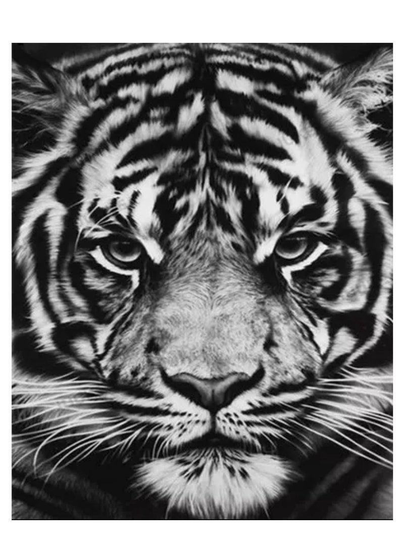 STRATEG DIY 5D Round Diamond Painting Craft Kits Multicolor - Image 1