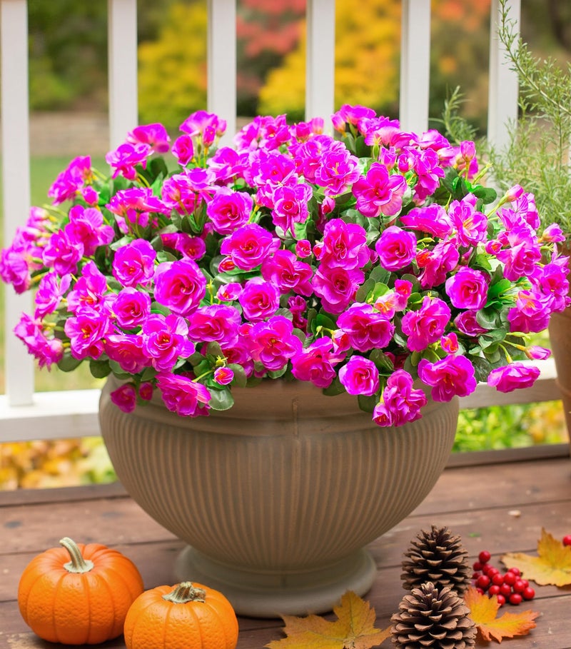 Ivydale Artificial Faux Outdoor Flowers Plants for Outside Fall Decoration Fake Silk Fuchsia Camellia UV Resistant Realistic for Planter Porch Patio Balcony Garden Home 3 Large Bundles
