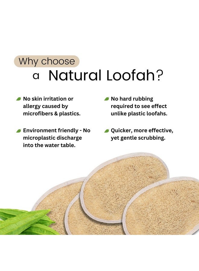 CareDone 4pcs Natural Exfoliating Loofah Pads, Body Scrubbers, Portable Luffa Sponges. - Image 4
