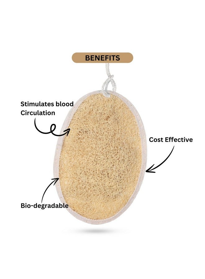 CareDone 4pcs Natural Exfoliating Loofah Pads, Body Scrubbers, Portable Luffa Sponges. - Image 5