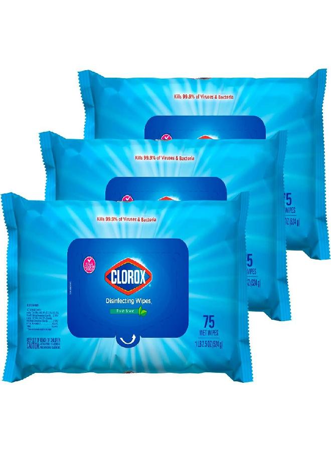 Clorox Clorox Disinfecting Wipes, Bleach Free Cleaning Wipes, Multi-surface Wipes with Moisture Seal Lid, Easy Pull Wipes Pack, Fresh Scent, 75 Wipes (Pack of 3) - Packaging May Vary  - Image 3