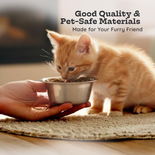 AASPIRE PETS 2 Pack Shallow Stainless Steel Cat & Dog Bowls, 1 Cup (8 oz) Each, Heavy Duty Small Pet Only Puppy Kitten & Birds Feeder Replacement Bowl, Rust Resistant Metal Cat Dishes for Food & Water - Image 3