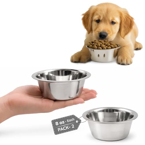 AASPIRE PETS 2 Pack Shallow Stainless Steel Cat & Dog Bowls, 1 Cup (8 oz) Each, Heavy Duty Small Pet Only Puppy Kitten & Birds Feeder Replacement Bowl, Rust Resistant Metal Cat Dishes for Food & Water - Image 1