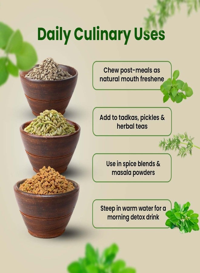 Pure Tree Certified Organic Ajwain 150g, Methi Seeds 250g, Saunf 125g | Glass Jar | Carom, Fenugreek & Fennel | Whole Seeds Vaamu, Methi dana, Variyali Spice Combo Pack - Image 3