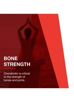 Protocol For Life Balance Glucosamine And Chondroitin With Msm 90 Capsules  - Image 5