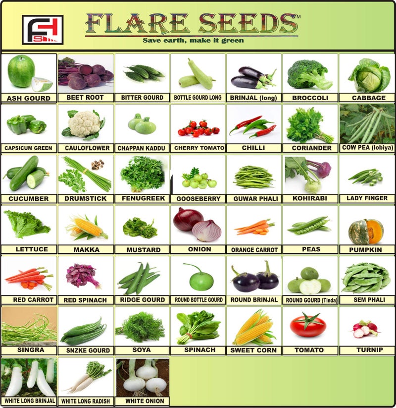 FLARE SEEDS Vegetables Seeds Combo For Home Garden 45 Varities Indian Vegetable Organic Seeds 2500+ Seeds - Image 1