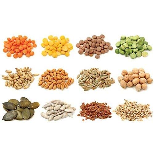 FLARE SEEDS Vegetables Seeds Combo For Home Garden 45 Varities Indian Vegetable Organic Seeds 2500+ Seeds - Image 5
