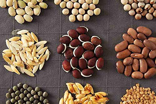 FLARE SEEDS Vegetables Seeds Combo For Home Garden 45 Varities Indian Vegetable Organic Seeds 2500+ Seeds - Image 4