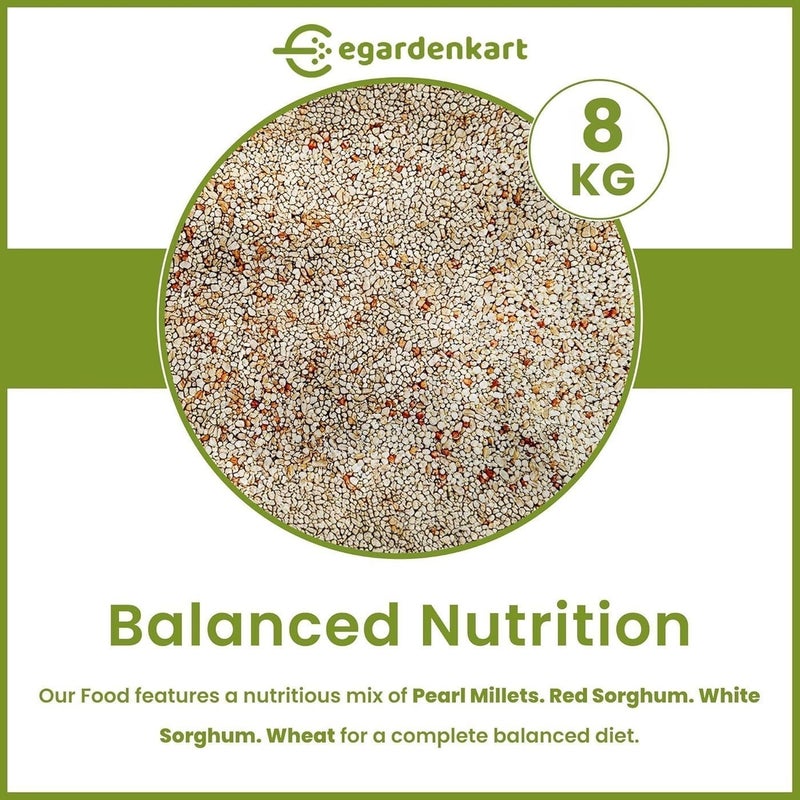 Egardenkart طعام الطيور اليومي من Egardenkart® - 8 كجم، بذور الطيور | طعام الطيور البرية لجميع أنواع الطيور البرية | طعام الطيور للطيور الصغيرة مثل الحمام، الدراج، المينا، القبرة، البلبل، العصفور، الهدهد، مزيج البذور (8) - Image 3