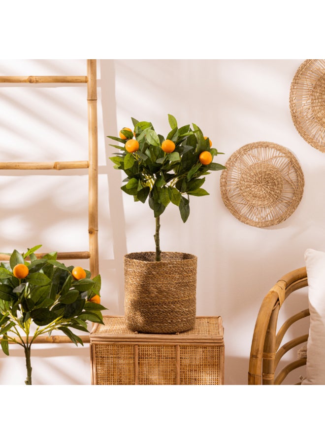 atmosphera 4-Piece Emmett Woven Reed Round Storage Basket Beige 27.5 x 27.5 x 27.5 cm 157102 - Image 4