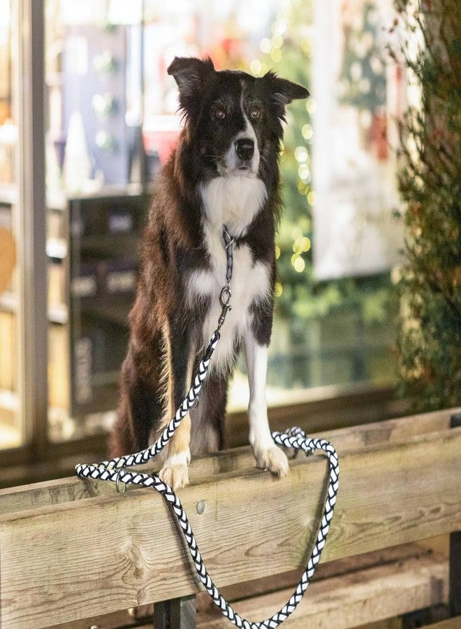 تريكسي طوق تريكسي كافو قابل للتعديل، مقاس كبير إلى كبير جدًا، طوله 2.00 متر/18 ملم، لون جرافيت - Image 5