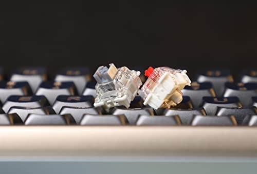 GATERON G Pro 3.0 Silver Keyboard Switches, Pre-lubed 5 pins RGB Linear for Gaming Mechanical Keyboard (Silver,35PCS) - Image 3