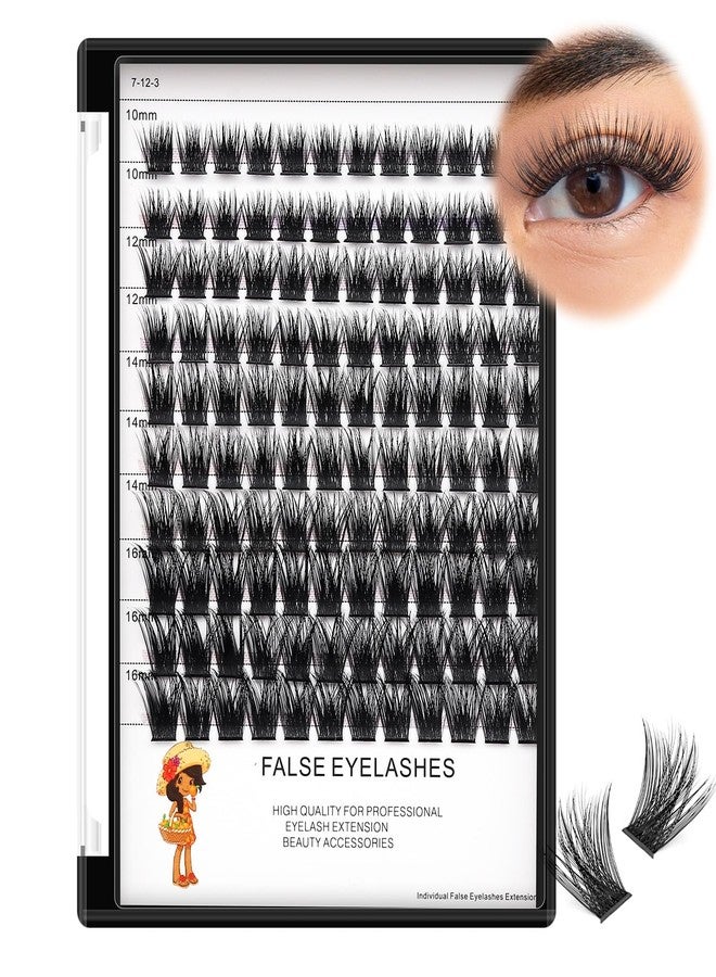 Bodermincer Black/Brown Color Lash Clusters 120pcs 8-10-12-14mm Mixed,10-12-14-16mm Mixed Cluster Clusters Individual Lashes Professional Cluster EyeLashes Grafting Eyelashes （8-10-12-14mm Mixed） - Image 3