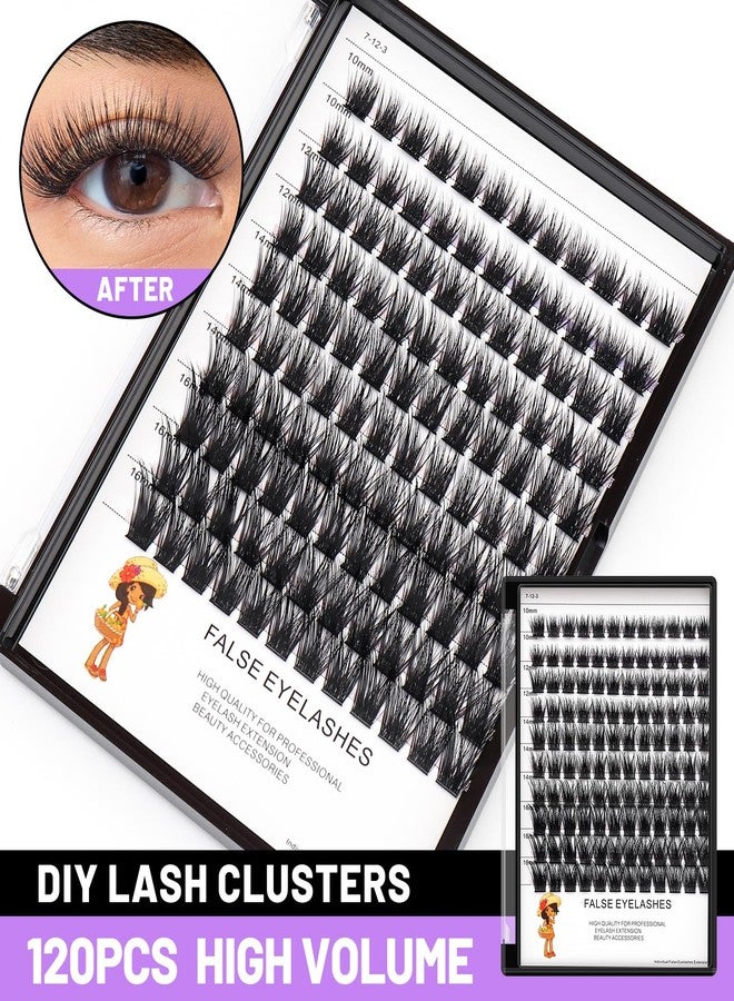 Bodermincer Black/Brown Color Lash Clusters 120pcs 8-10-12-14mm Mixed,10-12-14-16mm Mixed Cluster Clusters Individual Lashes Professional Cluster EyeLashes Grafting Eyelashes （8-10-12-14mm Mixed） - Image 4