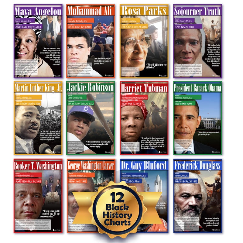 Young N Refined Black History Posters 12 pack school charts Glossy Paper (12.5x18) | Young N Refined | USA MADE - Image 1