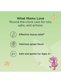 Hyland's Kids Cough Syrup and Mucus Relief Daytime and Nighttime Combo Pack, Kids Medicine for Ages 2-12, Grape Flavor, Promotes Sleep, Cough, Runny Nose, Mucus and Congestion, 8 Ounces  - Image 5