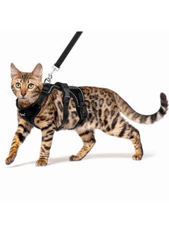PUPTECK PUPTECK Cat Harness and Leash Set Escape Proof for Walking, Breathable Mash Vest Adjustable Harness for Cats Puppy Small Animals, Reflective at Night, Black Medium  - Image 1