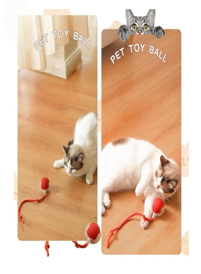 Interactive Cat Toy Ball with Tail, Smart Motion Activated Rolling Ball with Bird Sound, USB Type-C Rechargeable Silicone Puzzle Toy for Indoor Cats and Small Dogs - Image 5