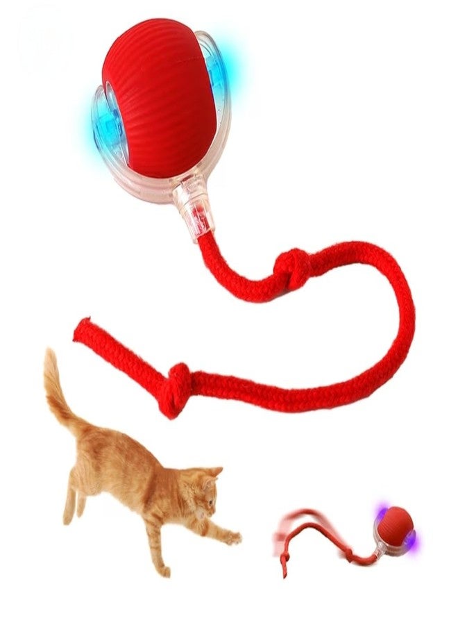 Interactive Cat Toy Ball with Tail, Smart Motion Activated Rolling Ball with Bird Sound, USB Type-C Rechargeable Silicone Puzzle Toy for Indoor Cats and Small Dogs - Image 1
