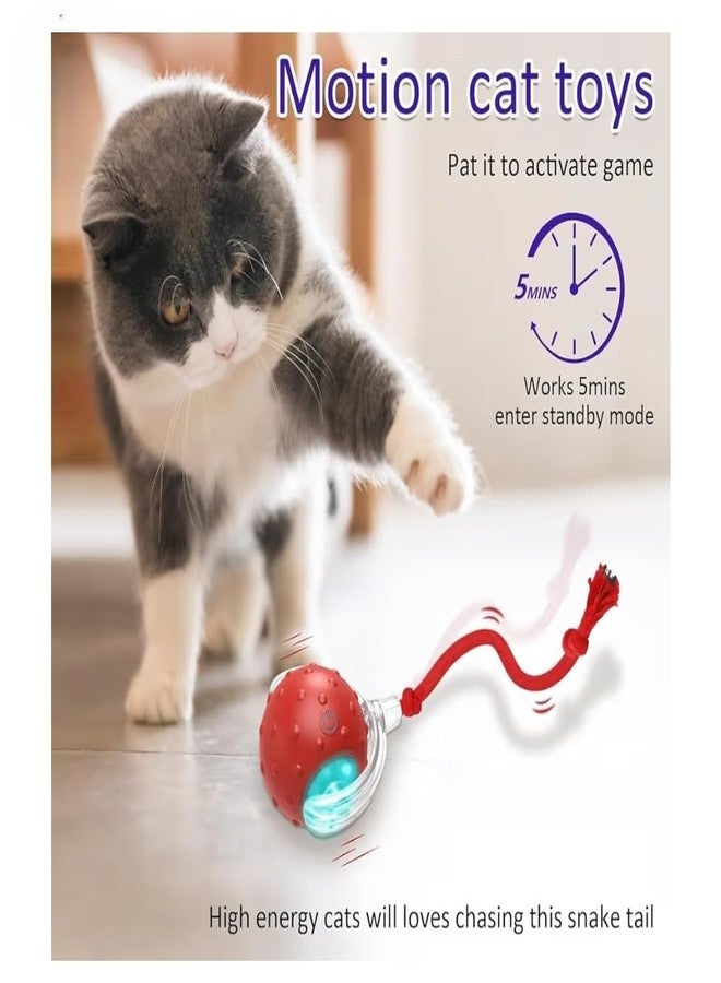 Interactive Cat Toy Ball with Tail, Smart Motion Activated Rolling Ball with Bird Sound, USB Type-C Rechargeable Silicone Puzzle Toy for Indoor Cats and Small Dogs - Image 4