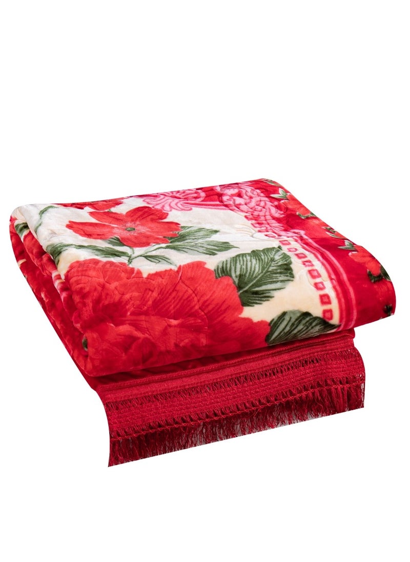 Stargold - Korea Quality Blanket Set of 4 Pieces King Size Super Soft Double Ply Combo Blanket - Image 1