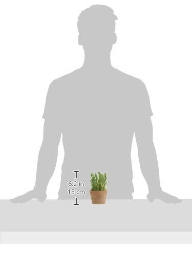 Esschert Design Artificial Herb Plant, Rosemary, Small (AH011) - Image 3