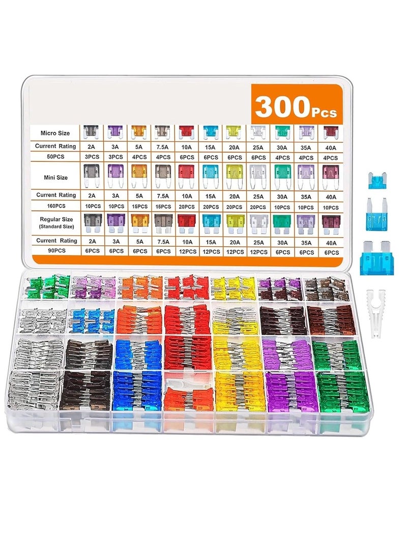 Generic Car Fuse Assortment Kit, 160 Mini Blade Fuses Automotive + 90 Standard Auto Fuses + 50 Micro Fuse + Fuse Puller  - Image 1