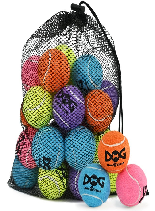 INSUM 20 Pack Small Tennis Balls for Dogs - 2 Inch Squeaky Dog Balls Toys with Mesh Bag, SGS Certified, Durable Non-Toxic, Built in Squeaker, Small Breeds - Image 1