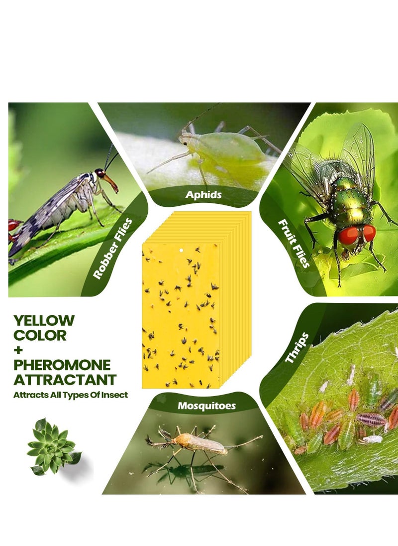 Generic - Fruit Fly Trap, 100Pack Yellow Double Sided Sticky Gnat Traps Killer, Yellow Gnat Traps Sticky Traps for House Indoor Outdoor Flying Plant Insect, Fungus Gnats Whiteflies Aphids Leaf Miners, 20X10CM - Image 1