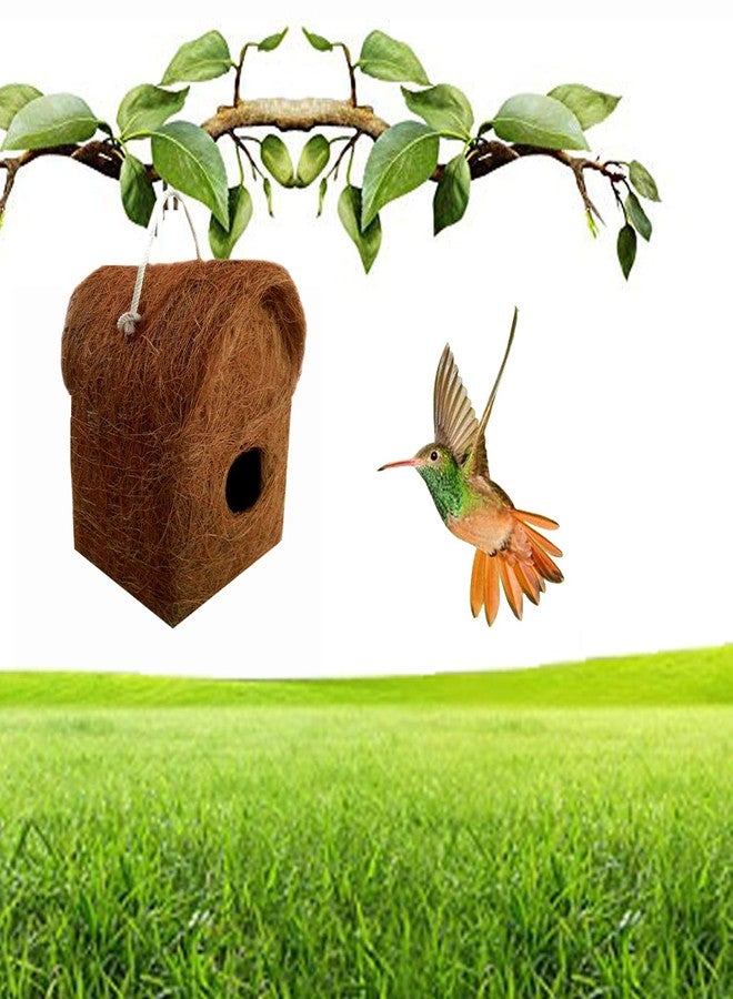 LIVEONCE Safest Open Bird House Purely Handmadelove Birds/Sparrow/Small Birds/and Free coel nest - Image 3