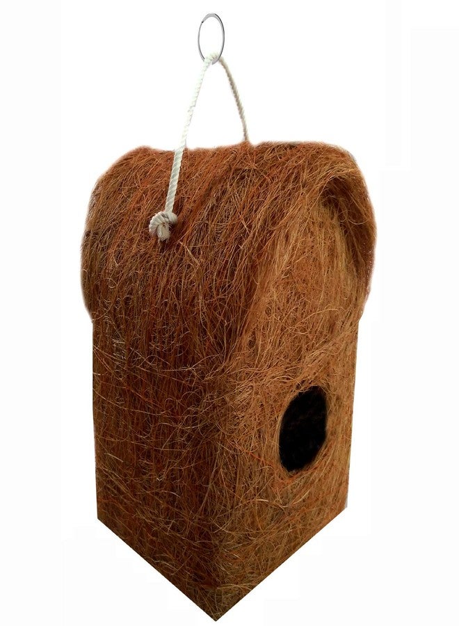 LIVEONCE Safest Open Bird House Purely Handmadelove Birds/Sparrow/Small Birds/and Free coel nest - Image 1