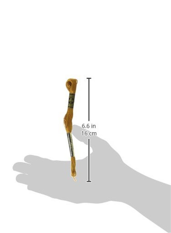 DMC Six Strand Cotton Embroidery Floss 700-799 - Image 2